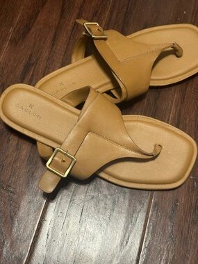 Caslon | Tan Buckle Toe-Post Sandals - Women’s 9